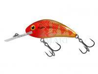 Wobler Salmo Hornet Rattlin H4.5 - Golden Red Head