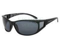 Polarised Sunglasses Solano FL20048B