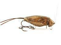 Imago Lures Przynęty Hopper Flow