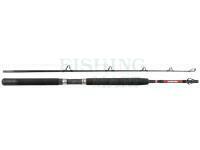 Rod Penn Warfare Boat 1.80m M 50lb 2Sec Conv