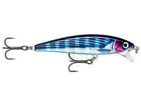 Wobler Rapala X-Rap Magnum Cast 10cm 42g - HDBTO HD Bonito