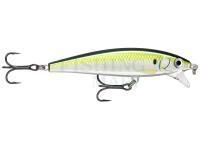 Wobler Rapala X-Rap Magnum Cast 10cm 42g - PLD Pilchard