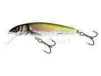 Wobler Salmo Minnow M7S - Holo Bleak