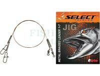 Stainless Steel Leader Wire Select JIG 1x7 20cm 5kg