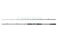 Abu Garcia BEAST X2 842 XHP CASTING 2.54M 40-140G 2SEC