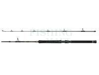 Rod Regiment IV Boat 2.10m F 20-30lb 2Sec Conv