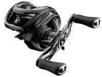 Baitcasting Reel Daiwa 24 Steez SV TW 100HL