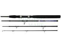 Rod Dega Nordic Seamaster Power Travel 2.10m 80-200g