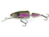 Frisky 7 DR Spot Bait