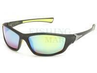 Polarized Sunglasses Solano FL 20056A