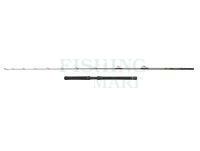 Rod Penn Regiment IV Halibuster 2.40m F 20-30lb 1+1Sec Conv