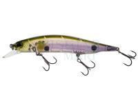 DUO Realis Jerkbait 110SP - CCC3243 BK Ayu