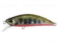 Lure DUO Spearhead Ryuki 45S Awabi - DDH4038 Yamame RB AM