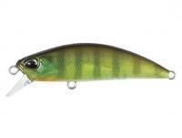 Lure DUO Spearhead Ryuki 50S - CCC3055 Chart Gill