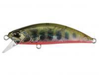 Lure DUO Spearhead Ryuki 70S Awabi - DDH4038 Yamame RB AM