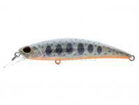 Hard Lure Duo Spearhead Ryuki 80S - AJO4064 Ivory Yamame OB