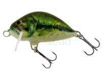 Lure Dorado Lake L-3,5 Floating BS