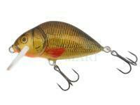 Wobler Dorado Lake L-5 Floating BRXX