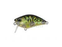 Crankbait DUO Realis Crank Kabuki 50 SSR | 50mm 8.4g | 2in 1/4oz  - CDX3933 Champagne Tiger