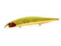 Hard Lure Duo Realis Jerkbait 120S SW 12cm 21.6g - ADA3121 Phoenix