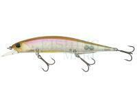 Lure DUO Realis Jerkbait 120SP - CCC3325