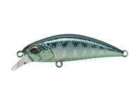 Lure DUO Spearhead Ryuki 45S - CRAZ110