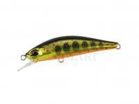 Hard Lure Duo Spearhead Ryuki 50S Takumi 50mm 4g - MCC4084 Gold Yamame