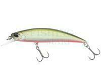 Lure DUO Spearhead Ryuki 70S - ANA4043