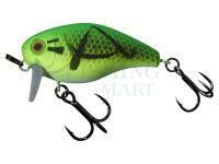 Hard Lure Illex Chubby 41 SSR 4.1cm 5.7g - Grasshoper