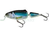 Salmo Frisky 7 SR - Holo Smelt