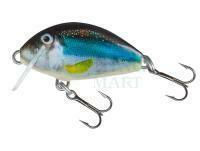 Lure Salmo Tiny IT3S - Holo Smelt