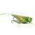 Imago Lures Przynęty Hopper Flow