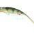 Qubi Lures Przynęty Syrena ONYX Vert 20cm