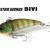 DUO Lures Tetra Works BIVI