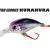 DUO Hard Lures Tetra Works Kurakura